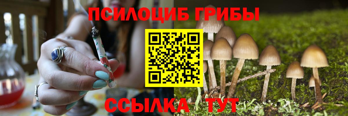 Псилоцибиновые грибы Psilocybe  купить закладку  Вход с VPN  Подольск  Галлюциногенные грибы прущие грибы 